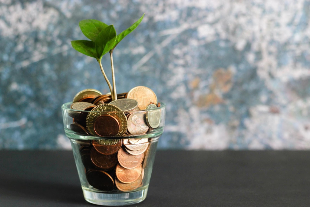 Leaves growing out of a pot of coins.
