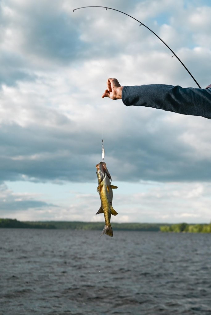 Sustainable Fishing Practices: How Purchasing a Bass Habitat Can Help 1 Fishing Practices
