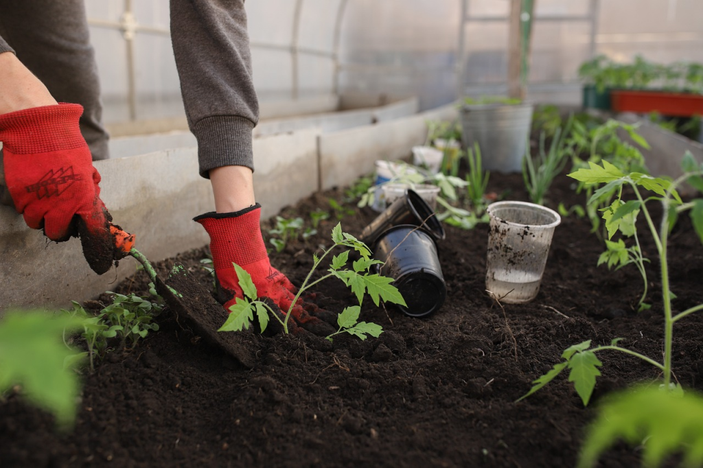 Greenhouse Business