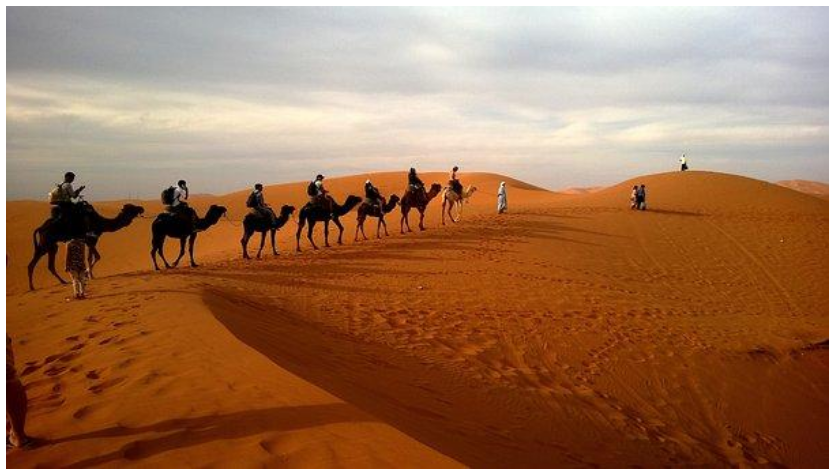 Abu Dhabi morning desert safari
