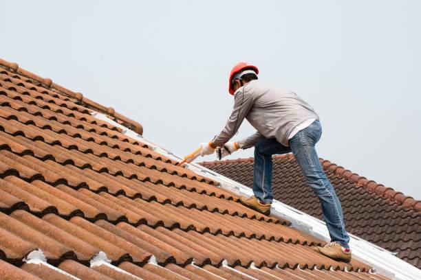 Common Signs Your Roof Needs Restoration 1 roof restoration