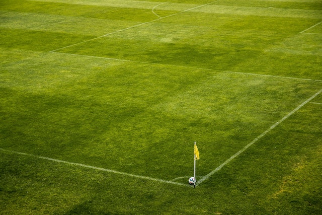 5 Reasons to Use Artificial Turf 1 Artificial Turf