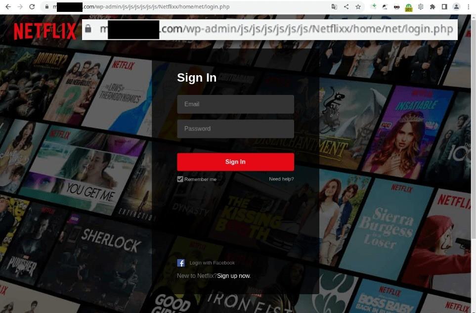 It looks like Netflix, but the URL screams phishing