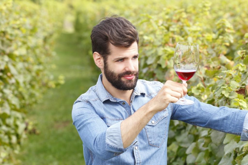 Starting a Winery: How Much Does It Cost? 1 winery