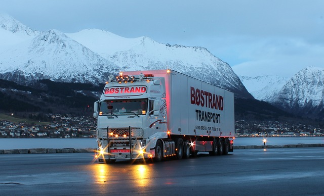 What Are the Top Things Every Fleet Manager Needs to Know? 1 truck