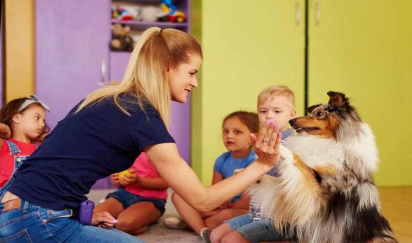 6 Reasons Why Your Dog Needs Behaviour Classes 1 Dog Needs Behaviour Classes