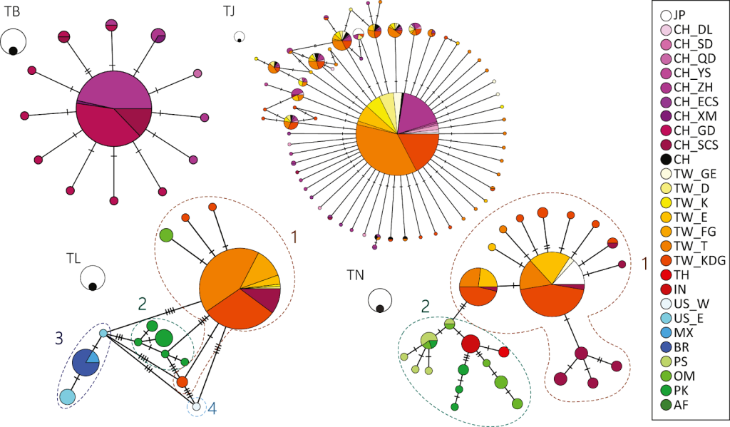 Haplotype Diversity in Non-Human Species: Insights into Evolutionary Processes 1 Haplotype