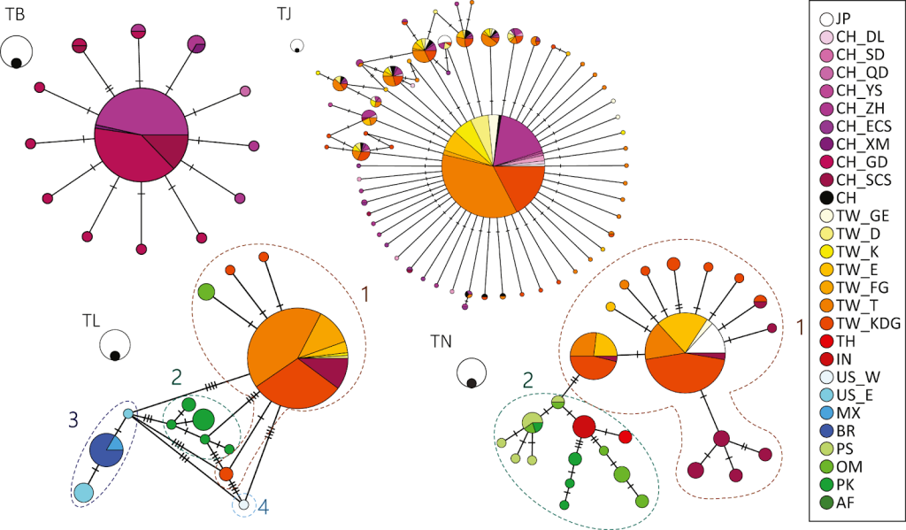 Haplotype