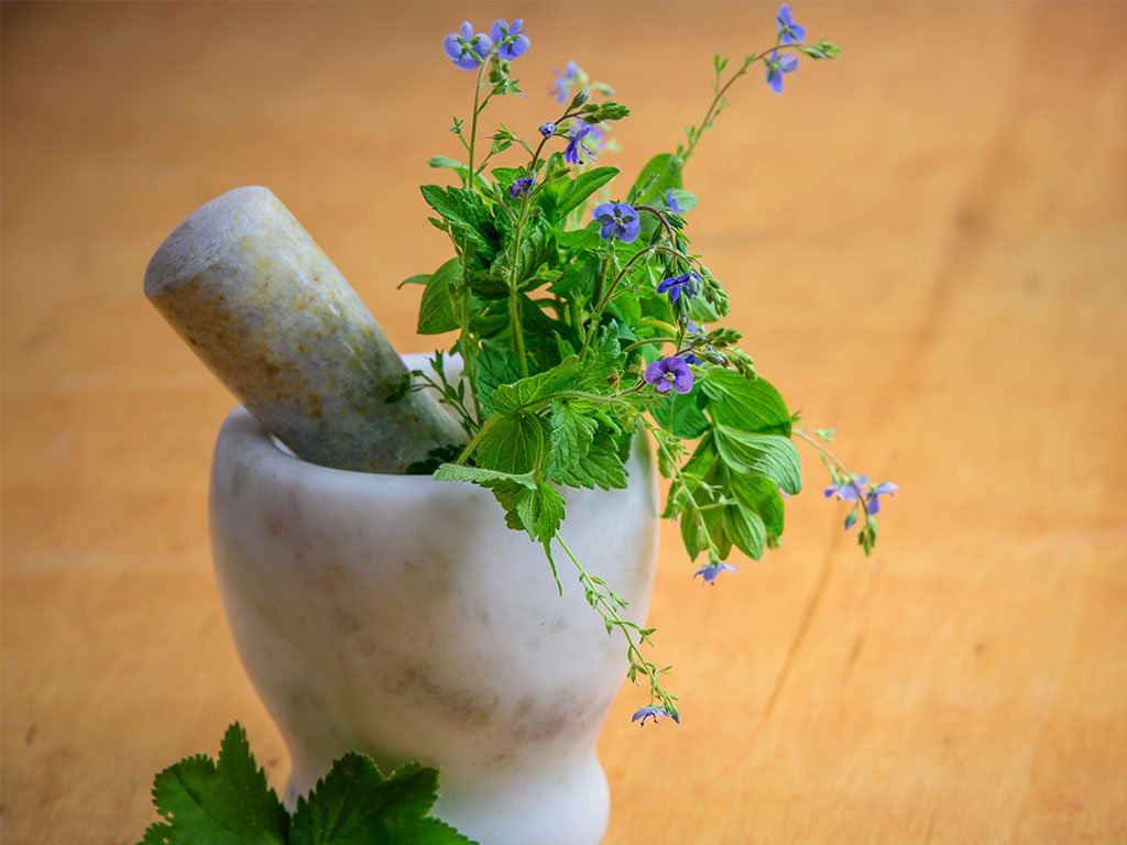 herbs