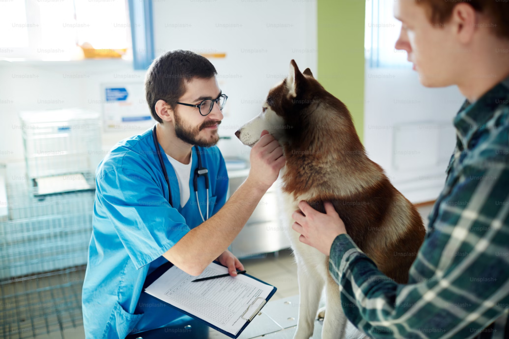 vet and a husky dog with its owner