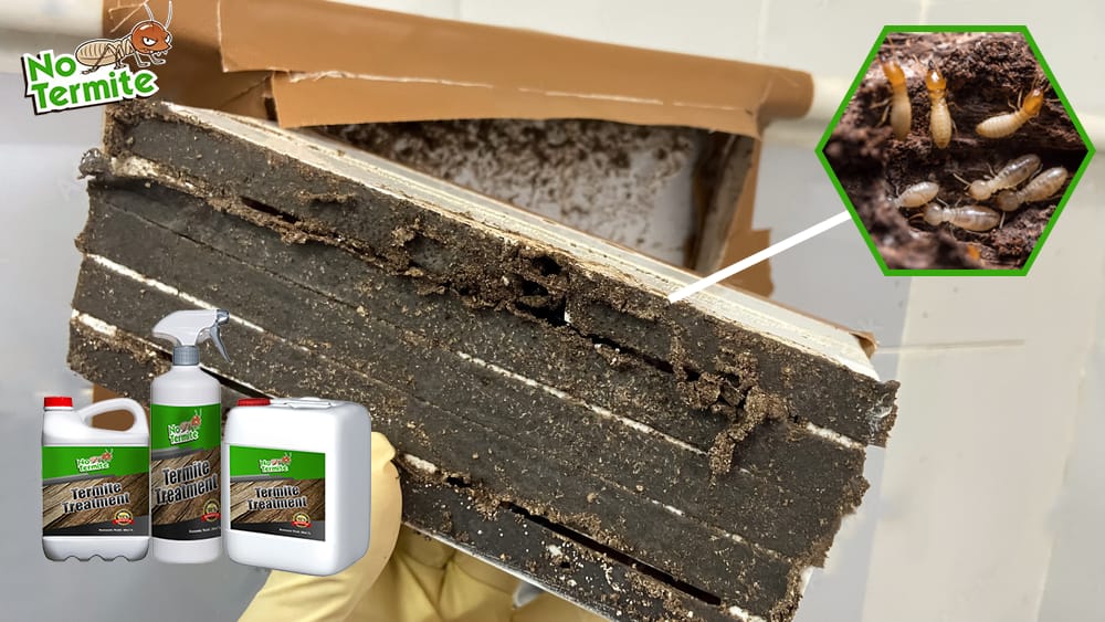 Are your investments termite-proof? 1 termite-proof