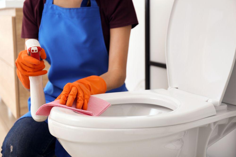 DIY Fixes for a Blocked Toilet a Comprehensive Guide 1 Fixes for a Blocked Toilet