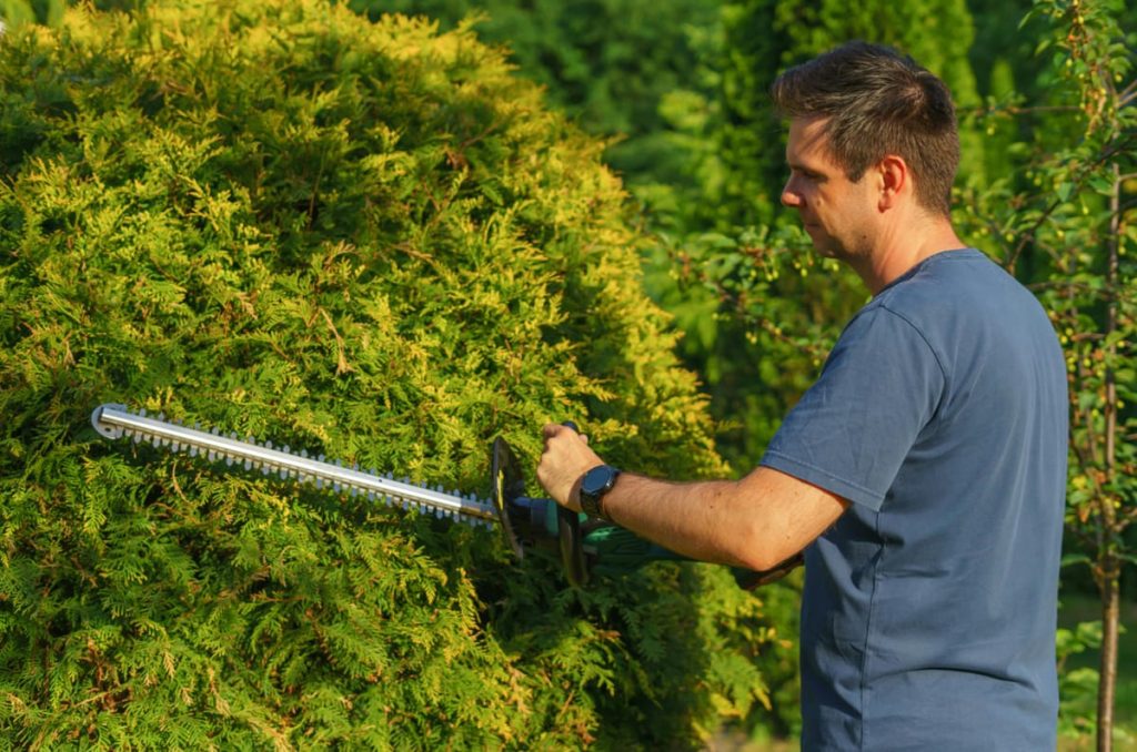 Boost Your Business With Commercial Battery Powered Landscaping Supplies 1 Commercial Battery Powered Landscaping Supplies