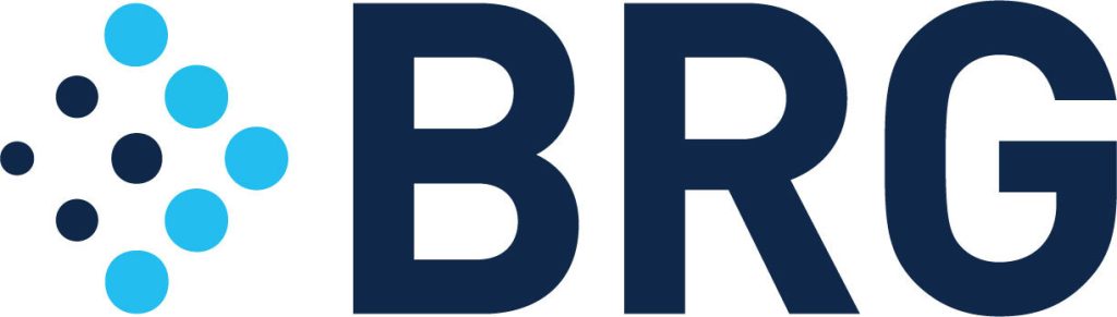 BRG Managing Director Dan Troy Honored as Top 20 Innovative General Counsel by Financial Times 3 BRG Logo