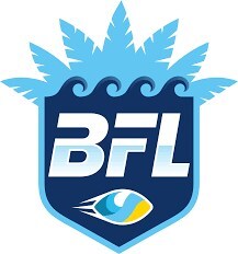 B LOGO Logo