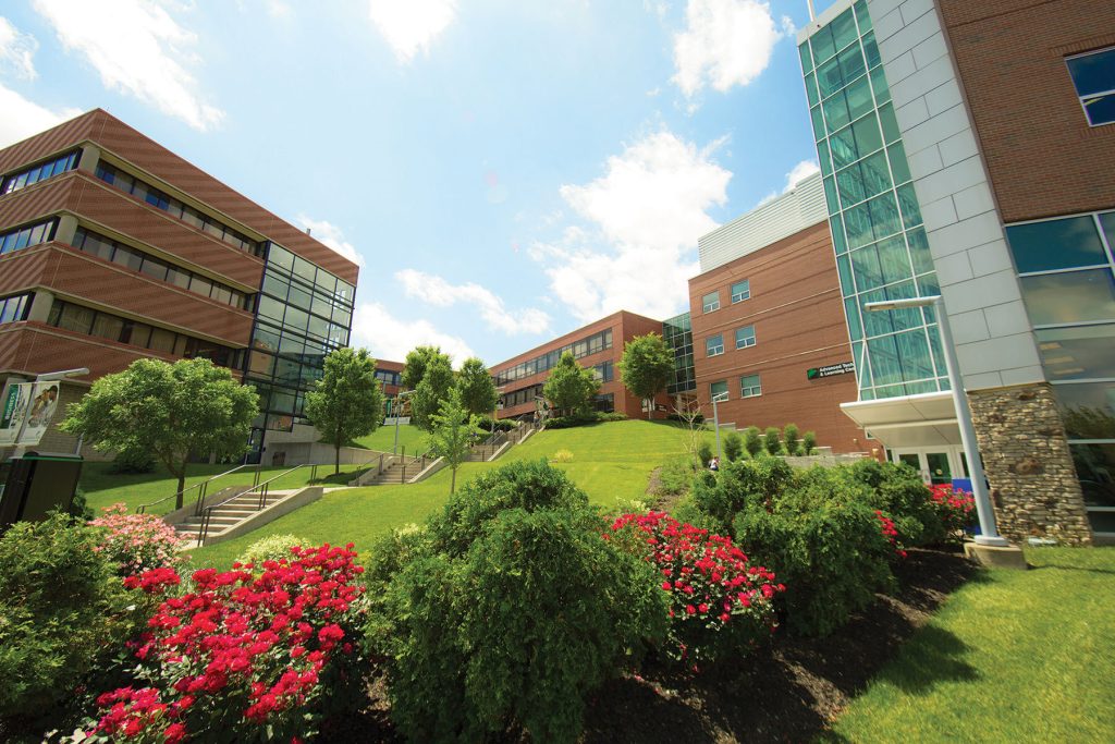 Cincinnati State Technical and Community College and eCampus com Unveiling New Online Bookstore and