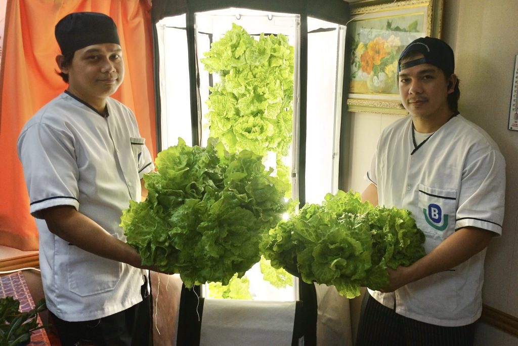 Fresh picks from the hydroponics harvest onboard Berge Dachstein