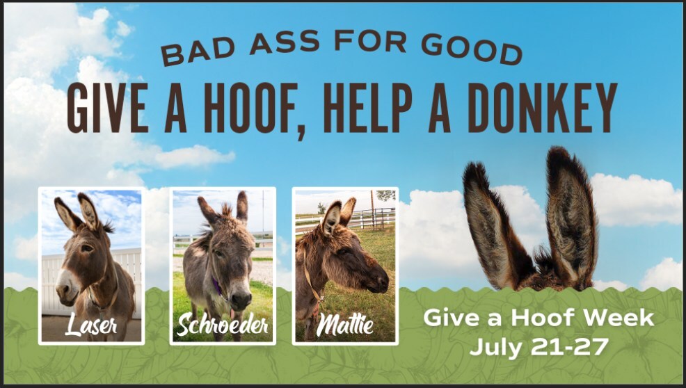 Make it a Badass Day for Donkeys: Bad Ass Coffee of Hawaii Kicks Off Annual Give a Hoof Week 7 Give a Hoof 2025