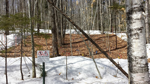 Shrinking Snowpack Erodes Half of Summer Tree Growth Carbon Gains 10 Hubbard Brook Research Foundation CCASE plot in the Forest