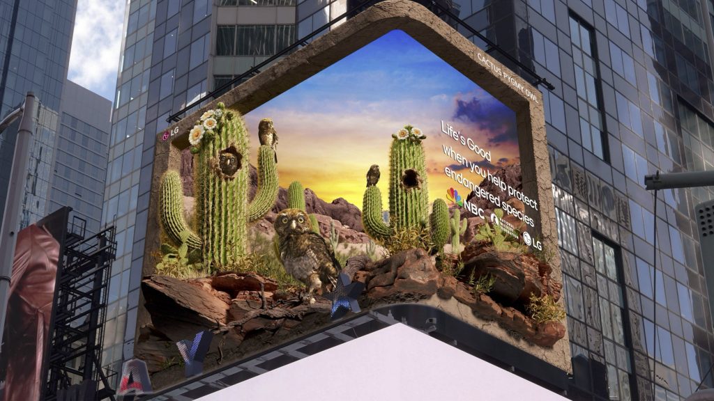 LG Electronics spotlights the cactus ferruginous pygmy owl