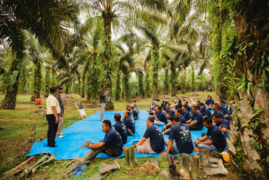Nestle Sustainability Smallholders