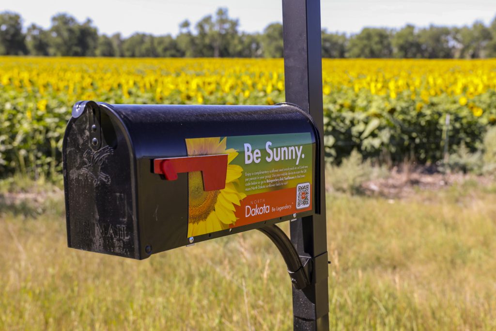 Follow the Bloom: North Dakota's 2025 Sunflower Map is Here 1 North Dakota sunflower fields will feature Sunflower Mailboxes with complimentary edible seeds