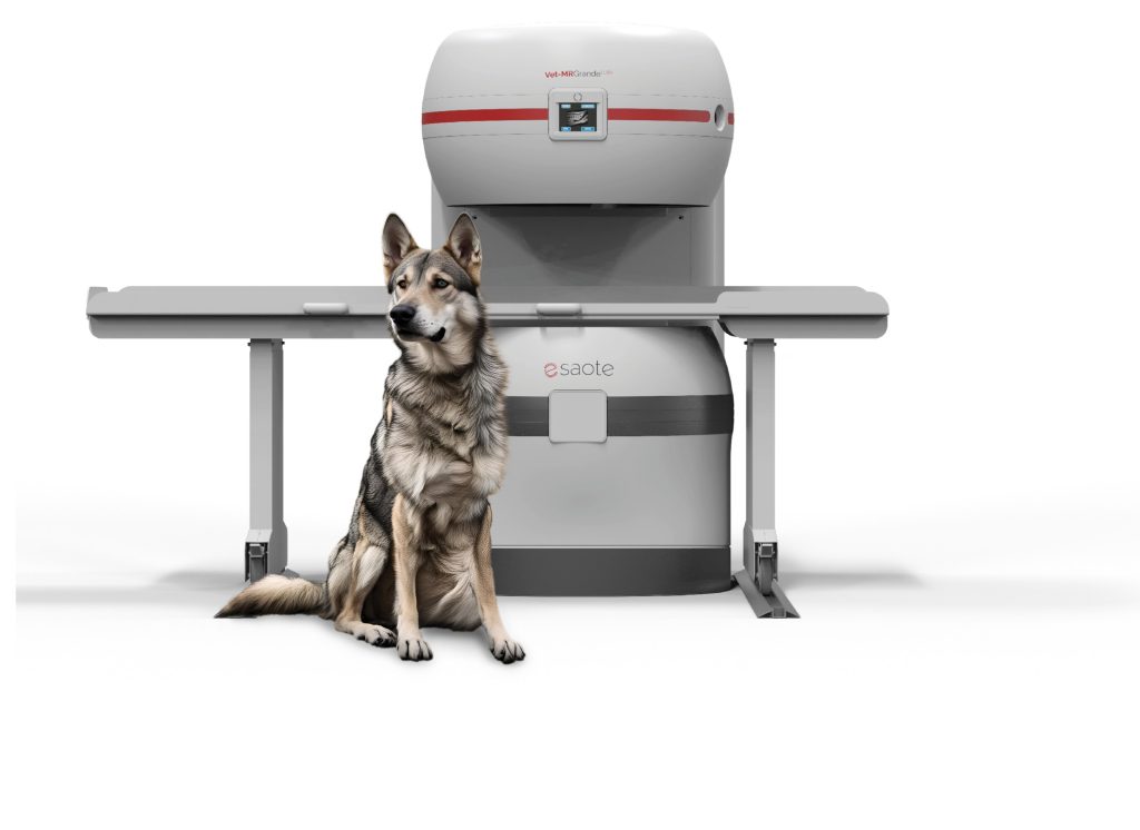 Esaote presents at ECVS 2025 the new generation of veterinary MRI, Vet -MR Grande ELITE 3 Vet MR Grande ELITE