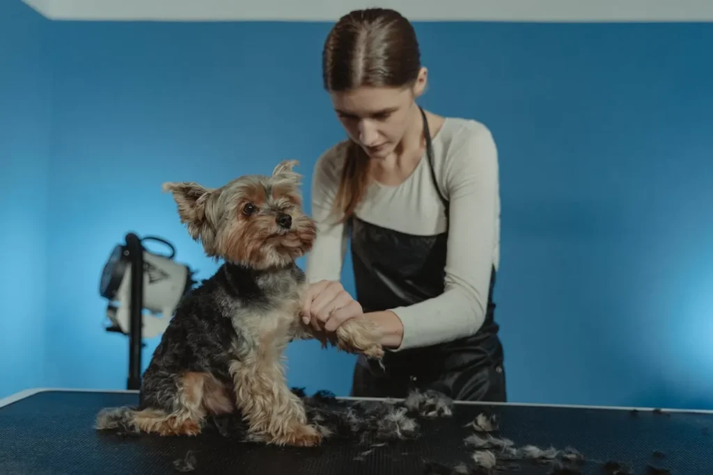 How Grooming Boosts Your Dog’s Confidence and Happiness 3 Grooming