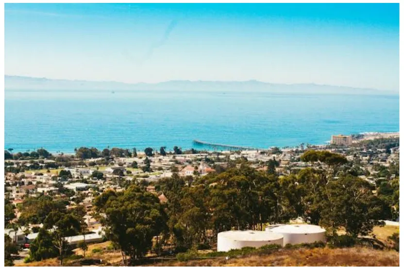 How California’s Wellness Culture Shapes Home-Based Business Life 1 How California’s Wellness Culture Shapes Home-Based Business Life