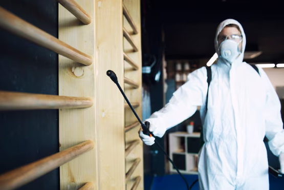 What Mistakes Am I Making That Attract Pests to My Home? 1 Pests