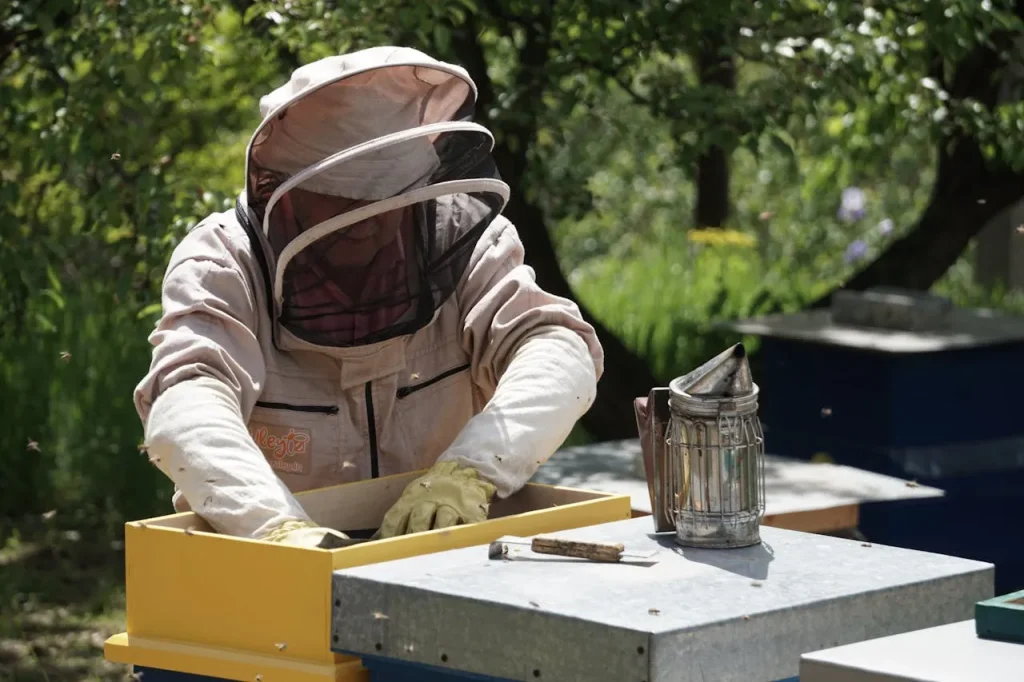Turning Passion Into Profit: Beekeeping For Beginners 1 Beekeeping For Beginners